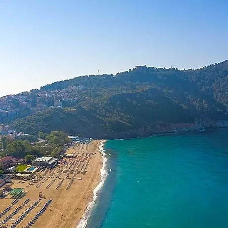 Aslan Corner Mahmutlar